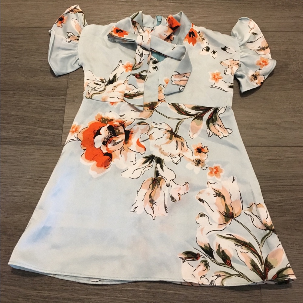 Bailey blossom baby dress, 6-9 months, blue
